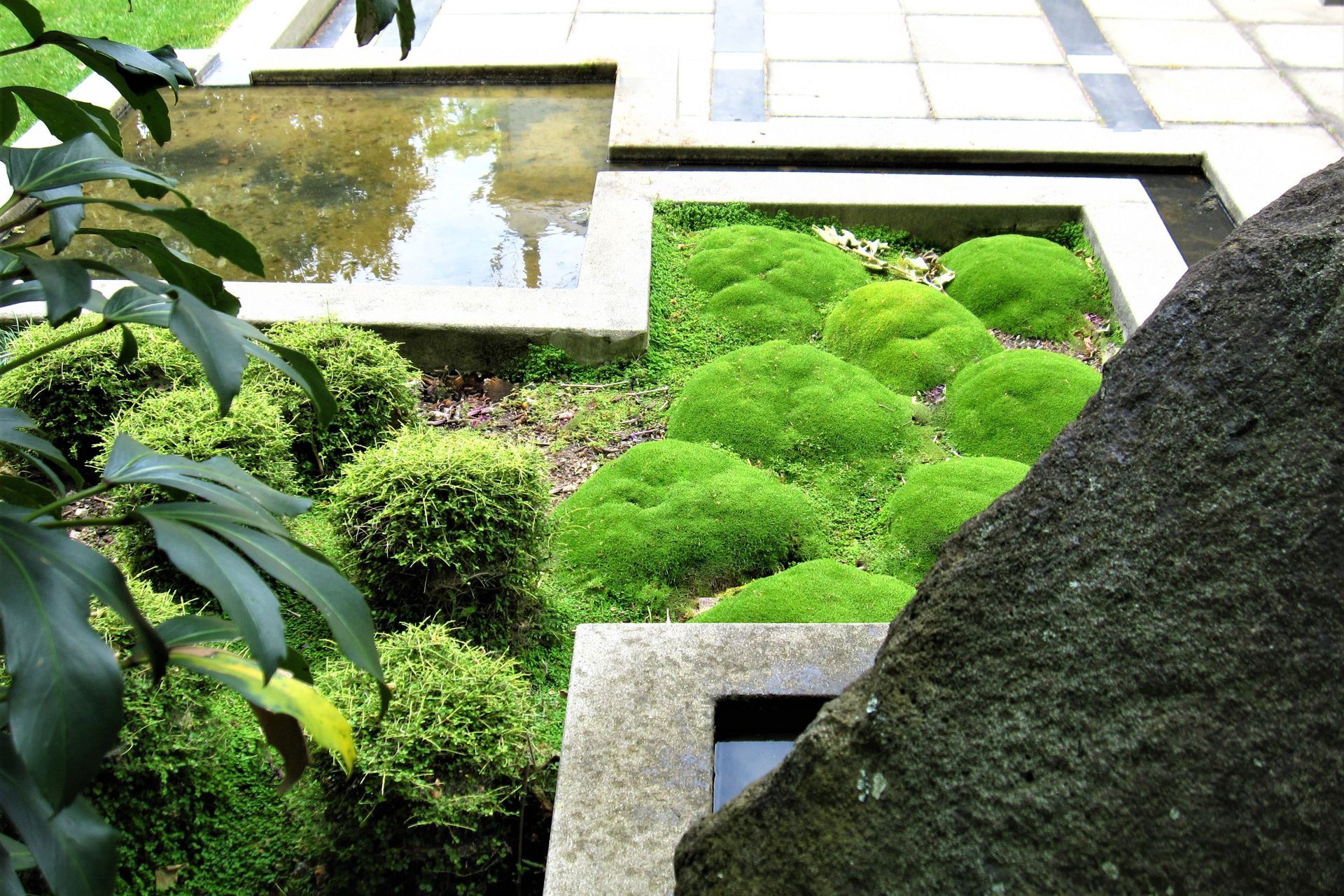 Ponsonby Garden