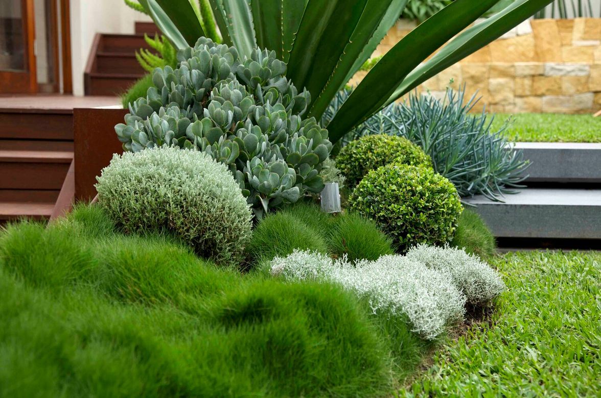 Family Garden