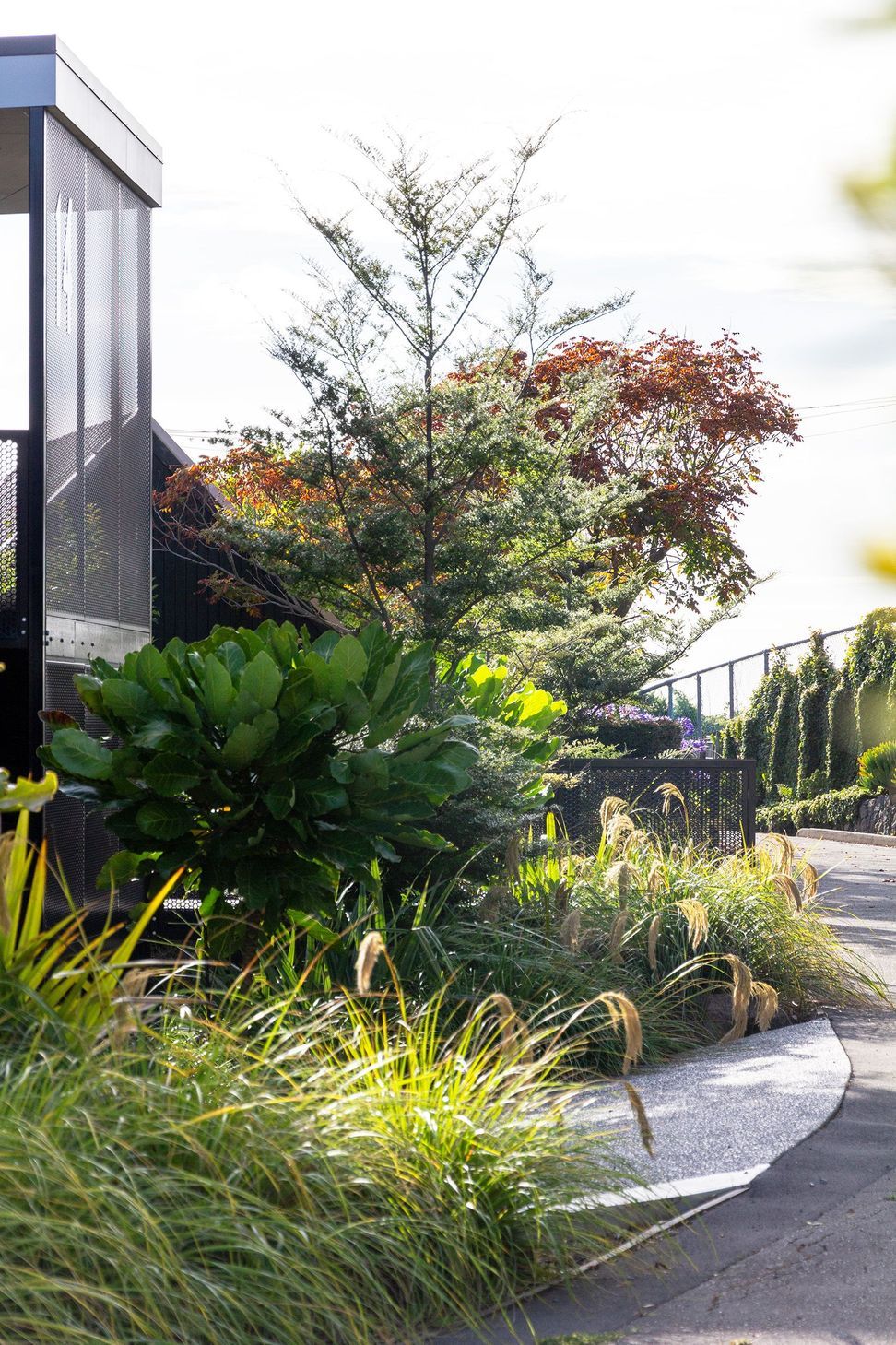 Botanic-104lr-v2.jpg