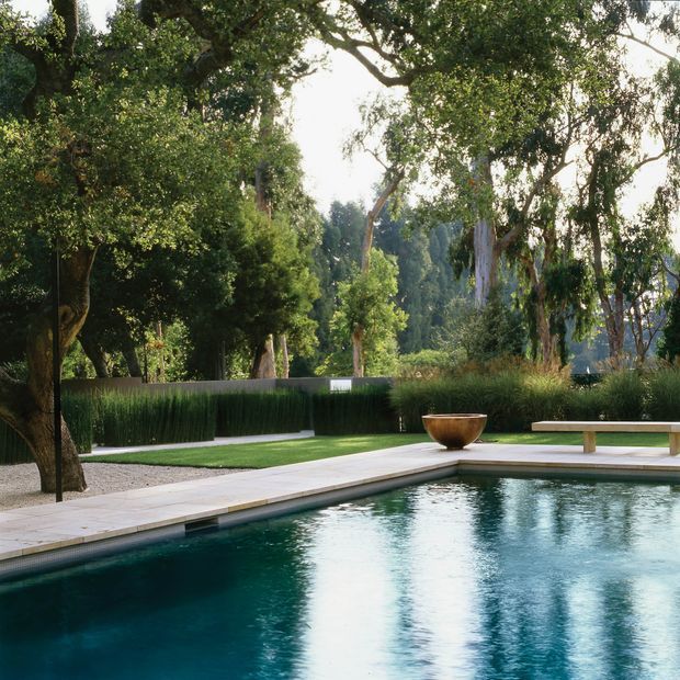 A tranquil landscaped outdoor pool surrounded by mature trees, dense planting and ornamental grasses. The rectangular pool has a pale stone-paved surround, a simple built-in bench, and a large decorative bowl, creating a serene contemporary garden setting.