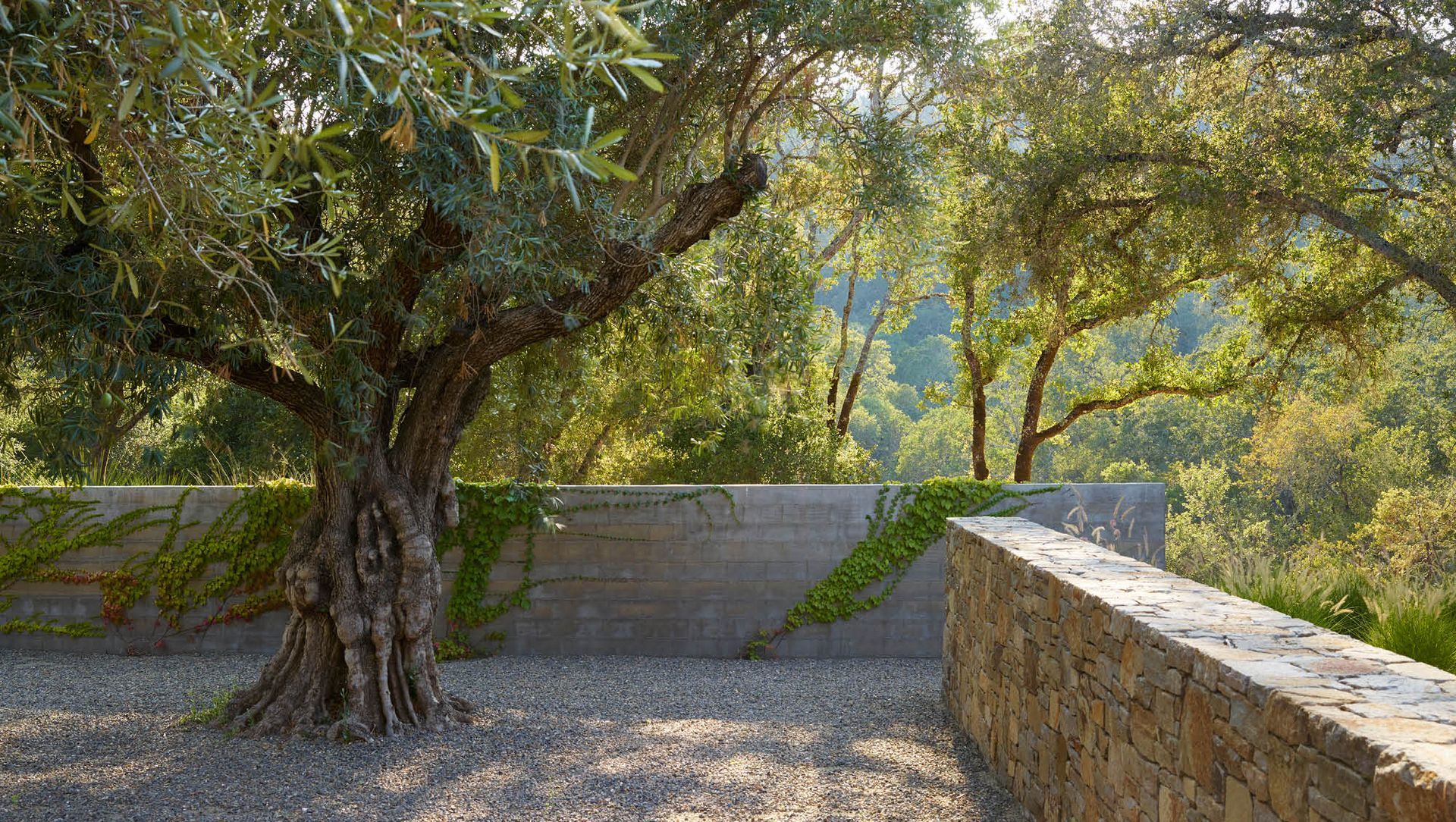 The Nature of Materials | Calistoga Residence banner