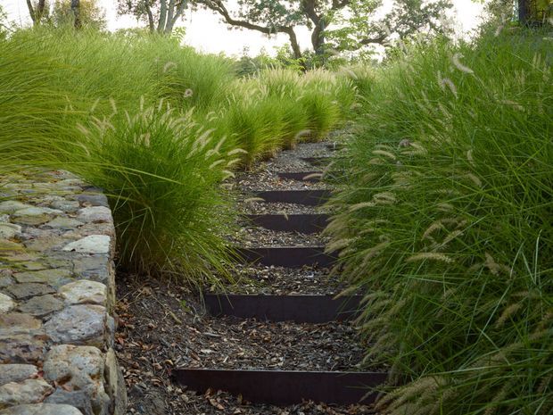 A landscaped garden walkway with dark timber or metal-edged steps ascending through dense ornamental grasses. A low, rough-stone retaining wall borders the left side, with mature trees and natural planting in the background.