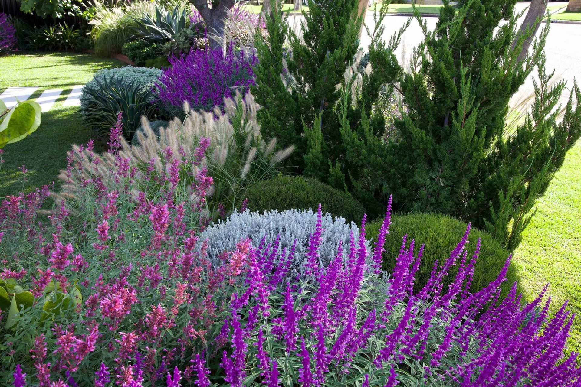 Ballerina Garden