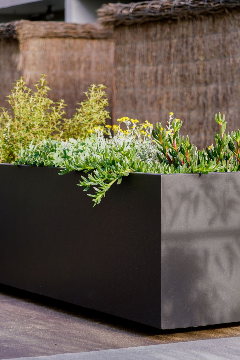 CarloGabrieleCeraStribleyLandscapingAgnesStreet01375.jpg