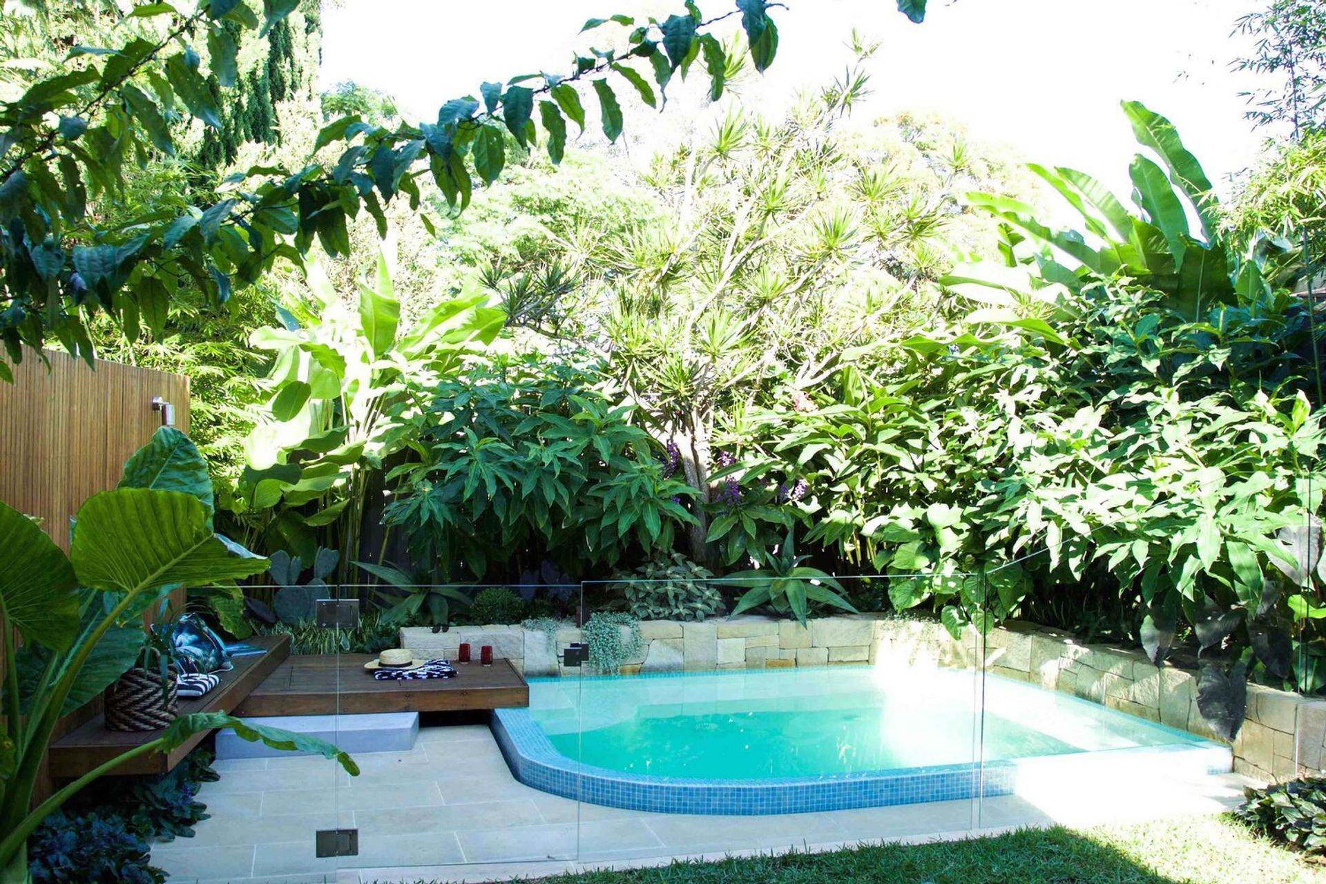 Plunge Garden