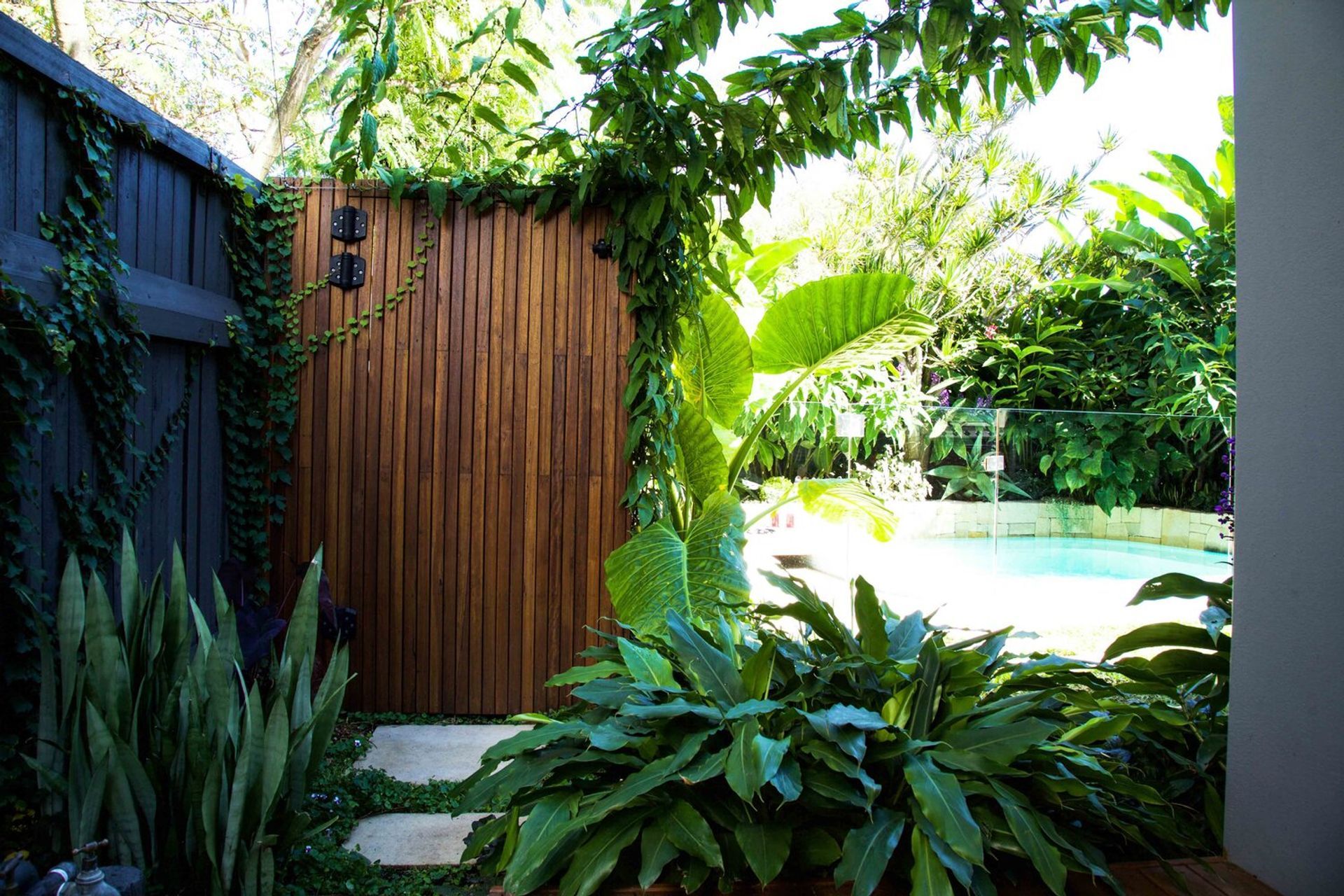 Plunge Garden
