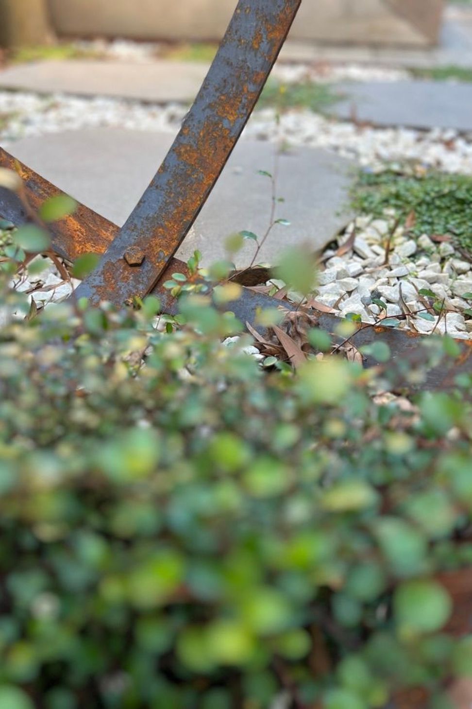 Urban Jungle