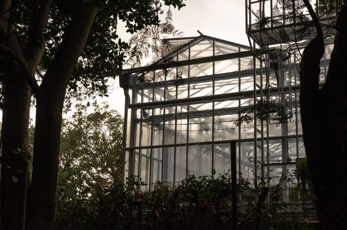 Domain Glass Houses