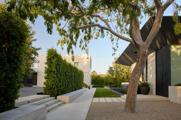 A landscaped modern residential courtyard viewed from outdoors, with crisp concrete steps and paving, manicured hedges, a clipped lawn, gravel groundcover, and a mature tree. The composition includes a dark contemporary flat-roof building with deep roof overhangs on the right and a pale rendered building beyond.