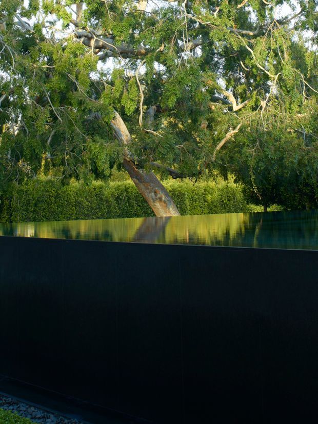 Exterior view of a dark, solid boundary wall or fence in the foreground, with a reflective glazed or polished upper edge and dense mature greenery and a large tree behind it. The image has a strong contrast between the near-black architectural element and sunlit vegetation, creating a moody, landscape-focused composition.