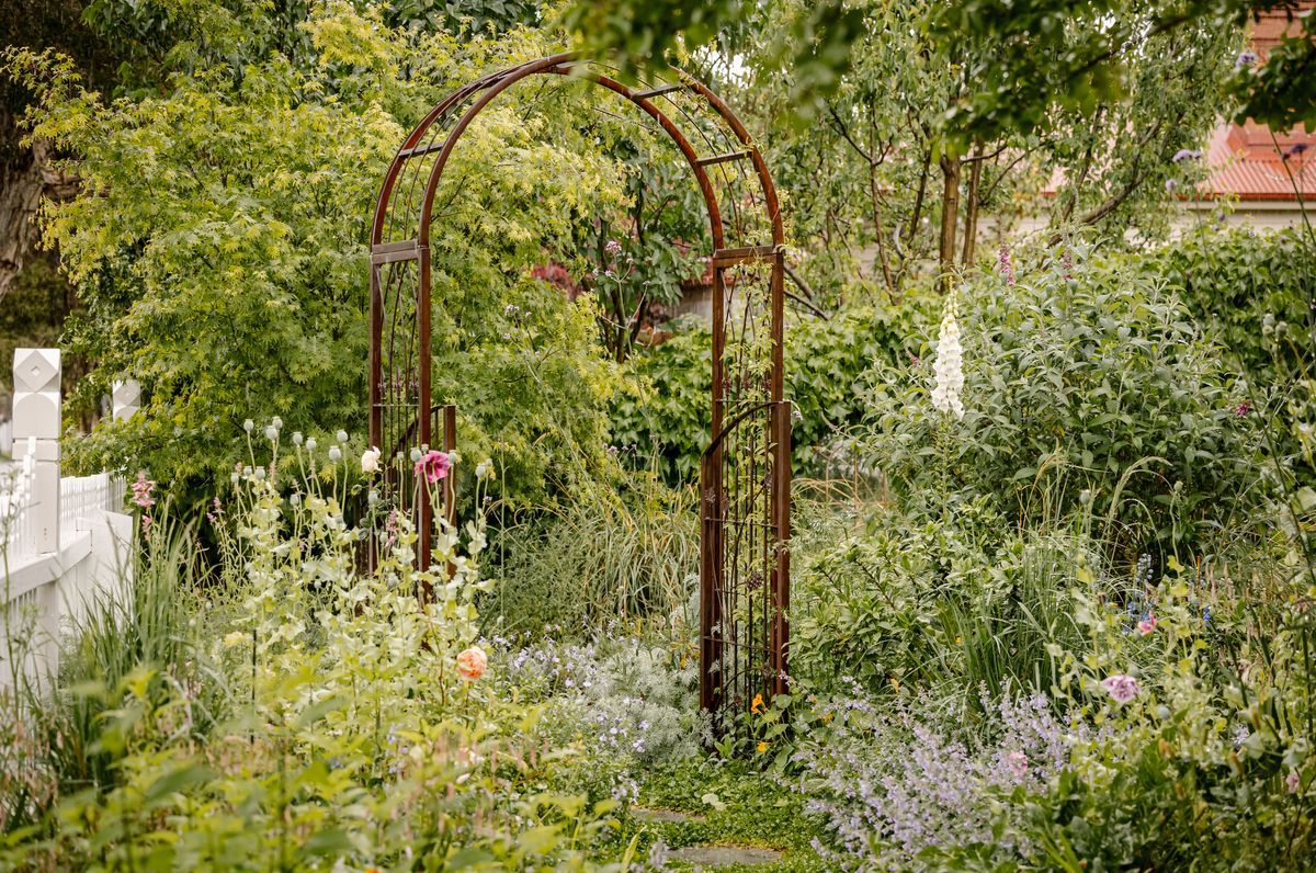 Fleur Harris Garden