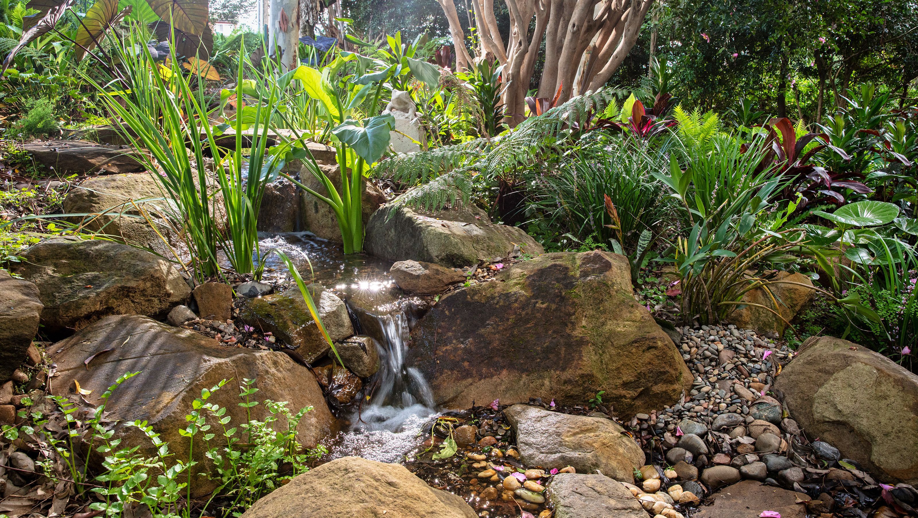 Forest Creek