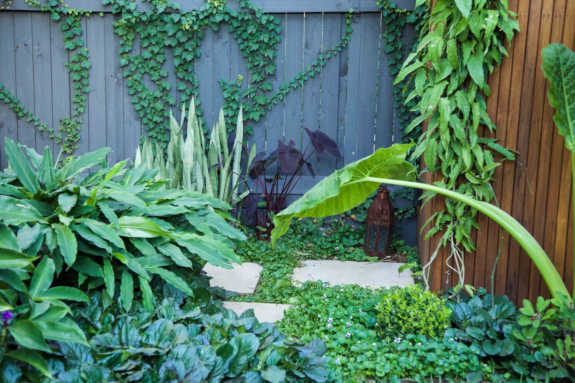 Plunge Garden