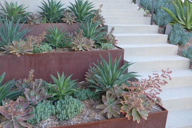 A landscaped exterior stairway with pale concrete steps climbing between layered rust-toned metal planter beds. The planters are densely planted with agaves, succulents, and other drought-tolerant specimens, creating a modern xeriscaped garden composition.