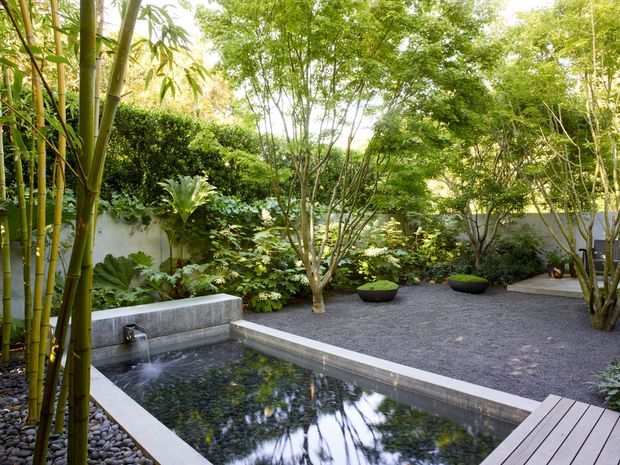 A serene landscaped courtyard garden with a rectangular reflective pond, a small water spout, dark pebble ground cover, lush layered planting, bamboo, sculptural trees, and a timber deck edge. The enclosed space has a tranquil Japanese-inspired garden atmosphere.