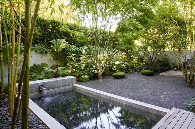 A tranquil landscaped courtyard garden with a narrow rectangular reflecting pool or plunge pool, framed by concrete edging and a timber deck. Dense bamboo, clipped hedges, leafy trees, large tropical foliage, dark gravel, and smooth grey boundary walls create a lush, secluded setting. A small wall-mounted water spout feeds the pool, adding a restrained water feature.