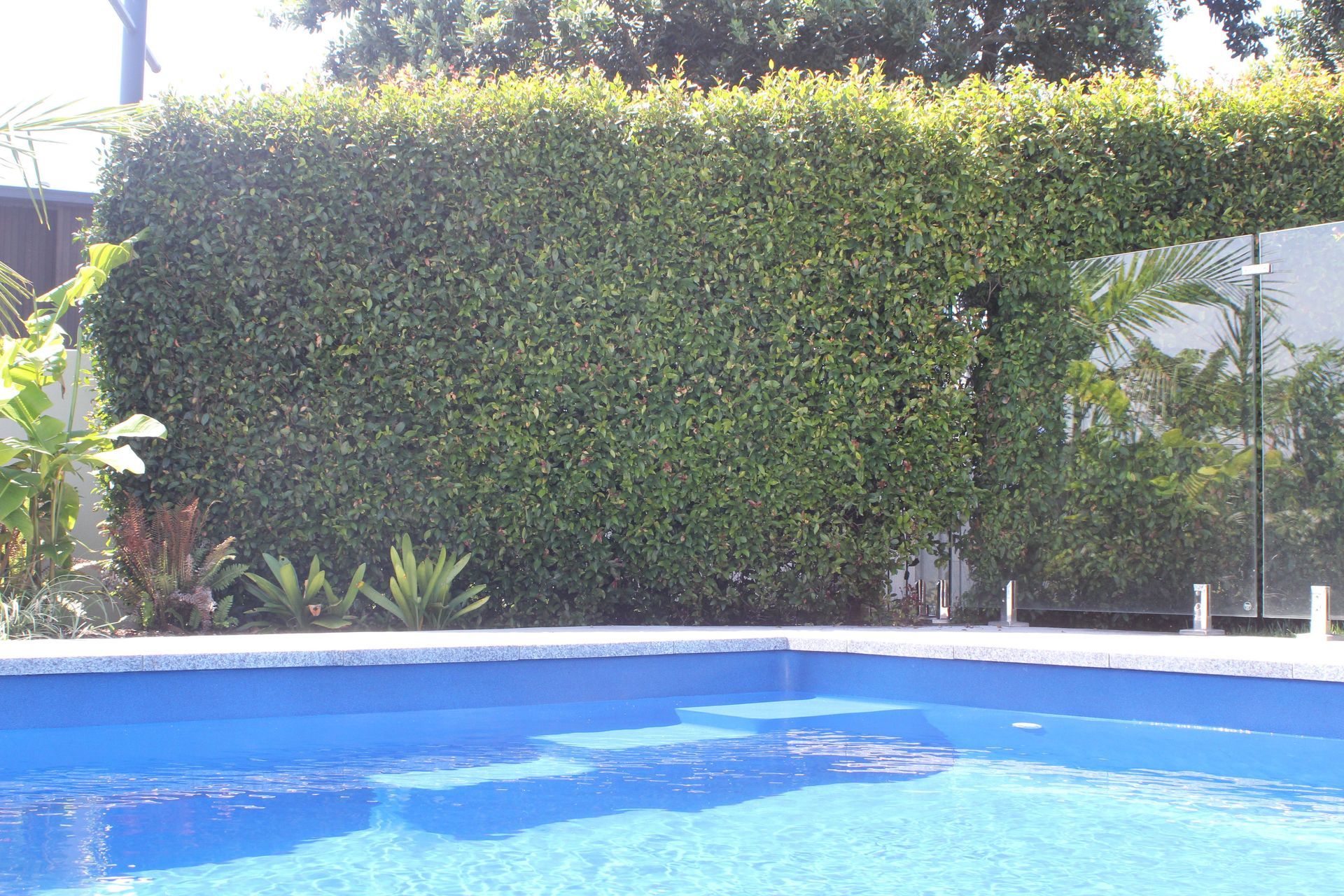 IMG0577.JPG