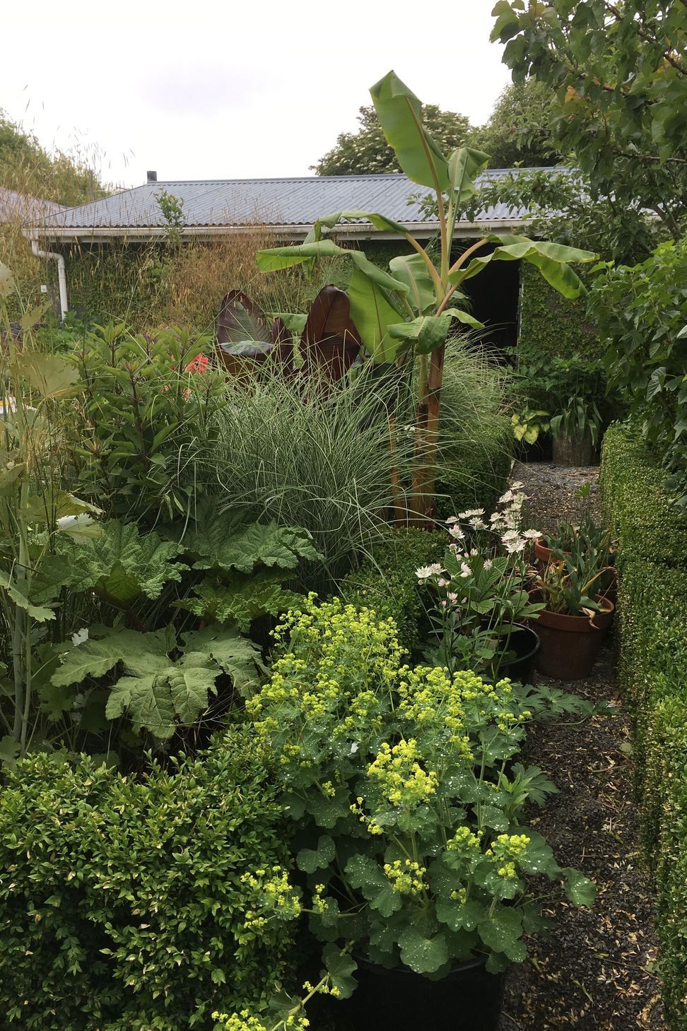 Shirley Garden