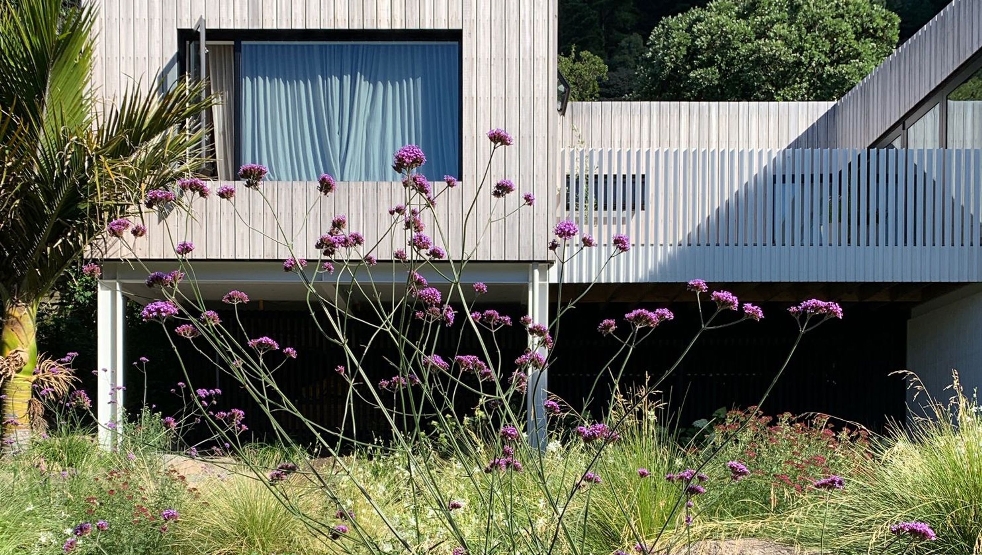 Sumner Garden