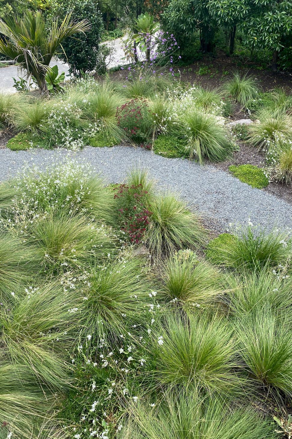 Sumner Garden