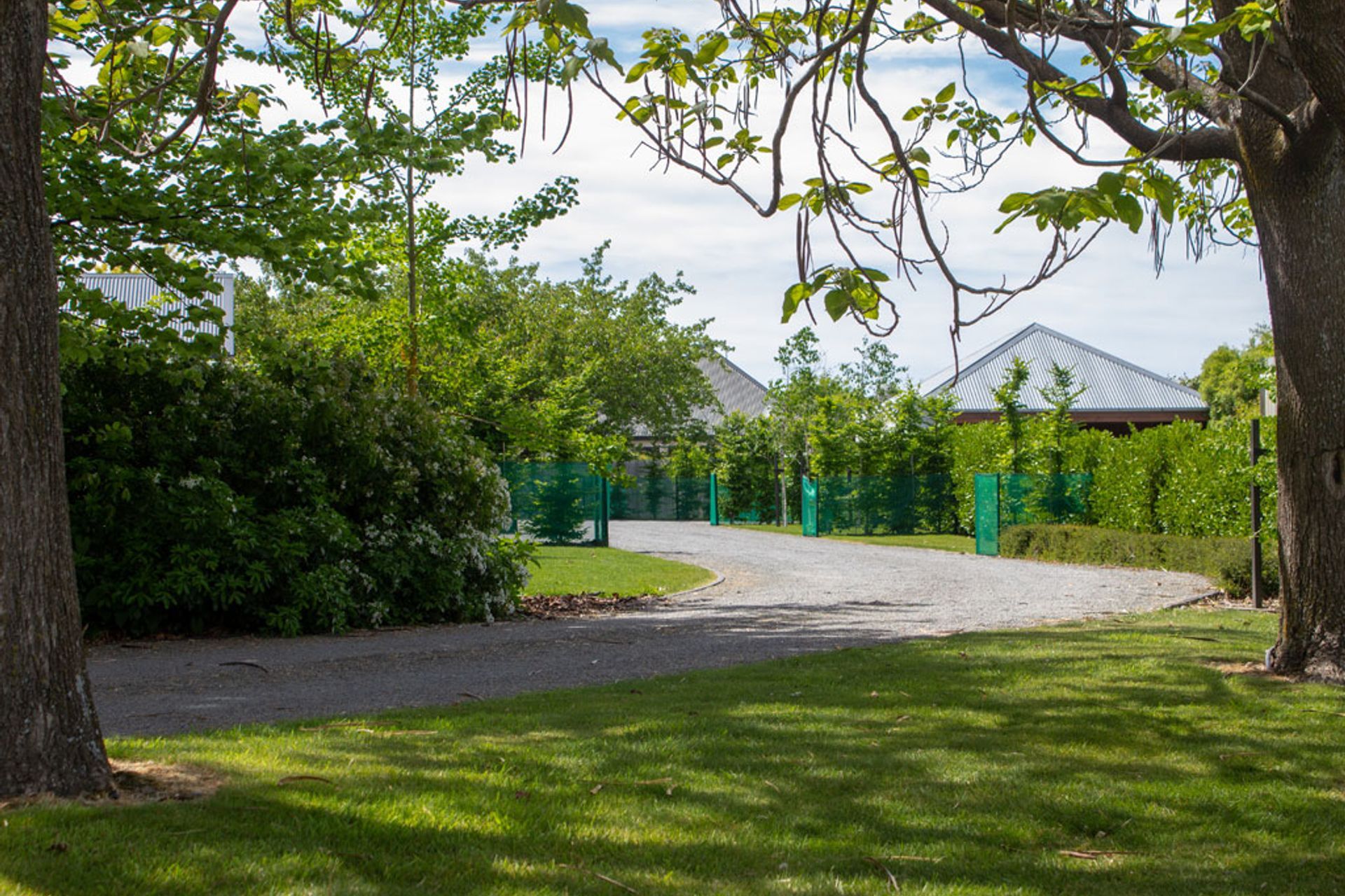 Leafy Springlands