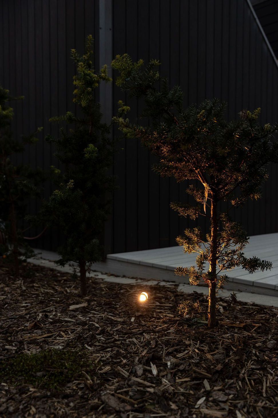 Landscape Lighting