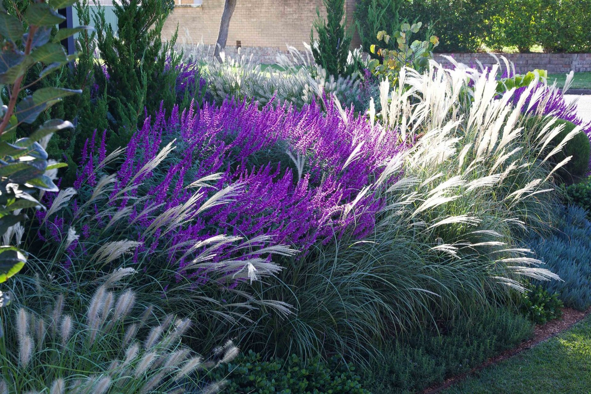 Ballerina Garden