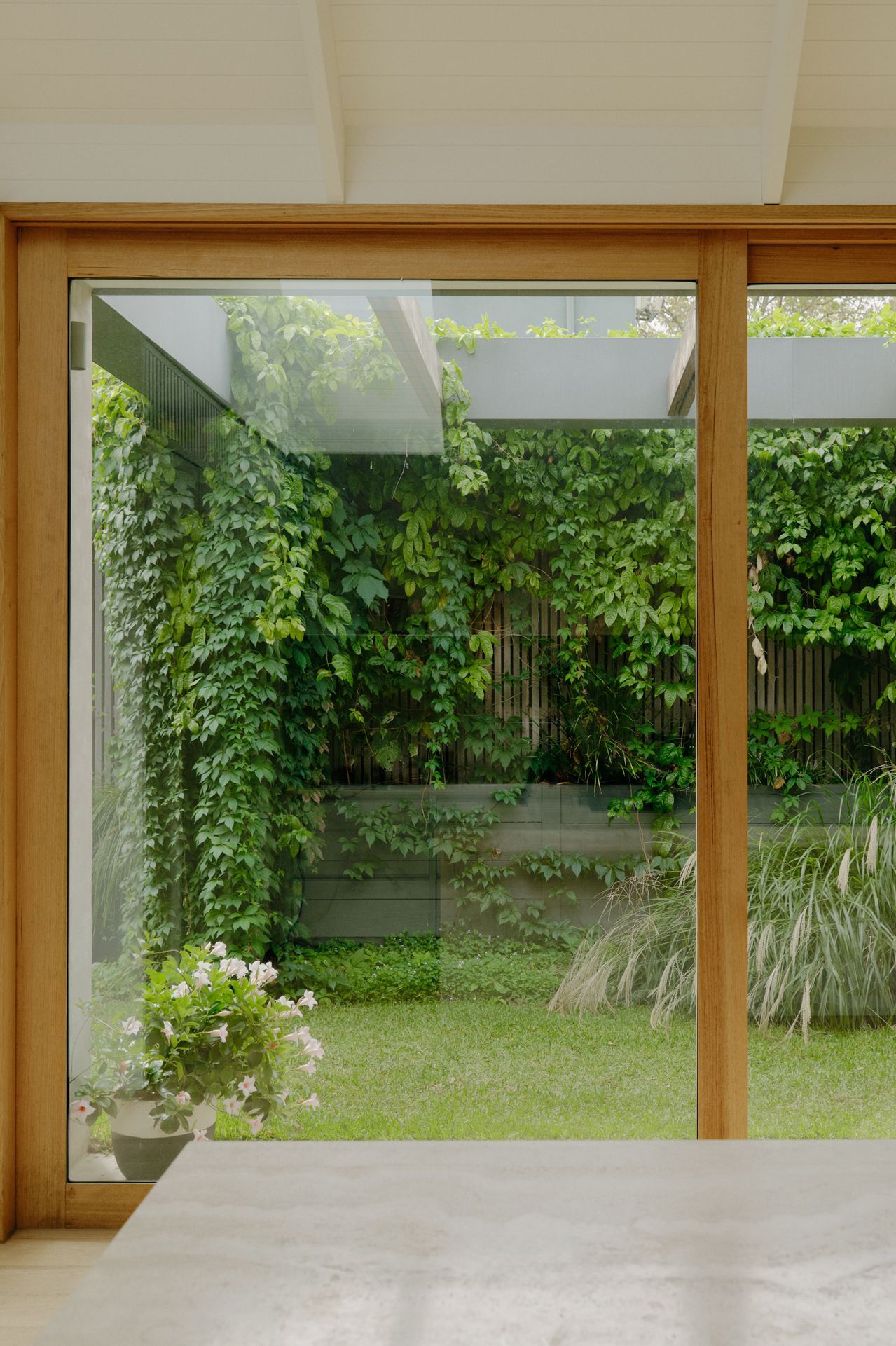 OLAVERTIV2701WEB.jpg