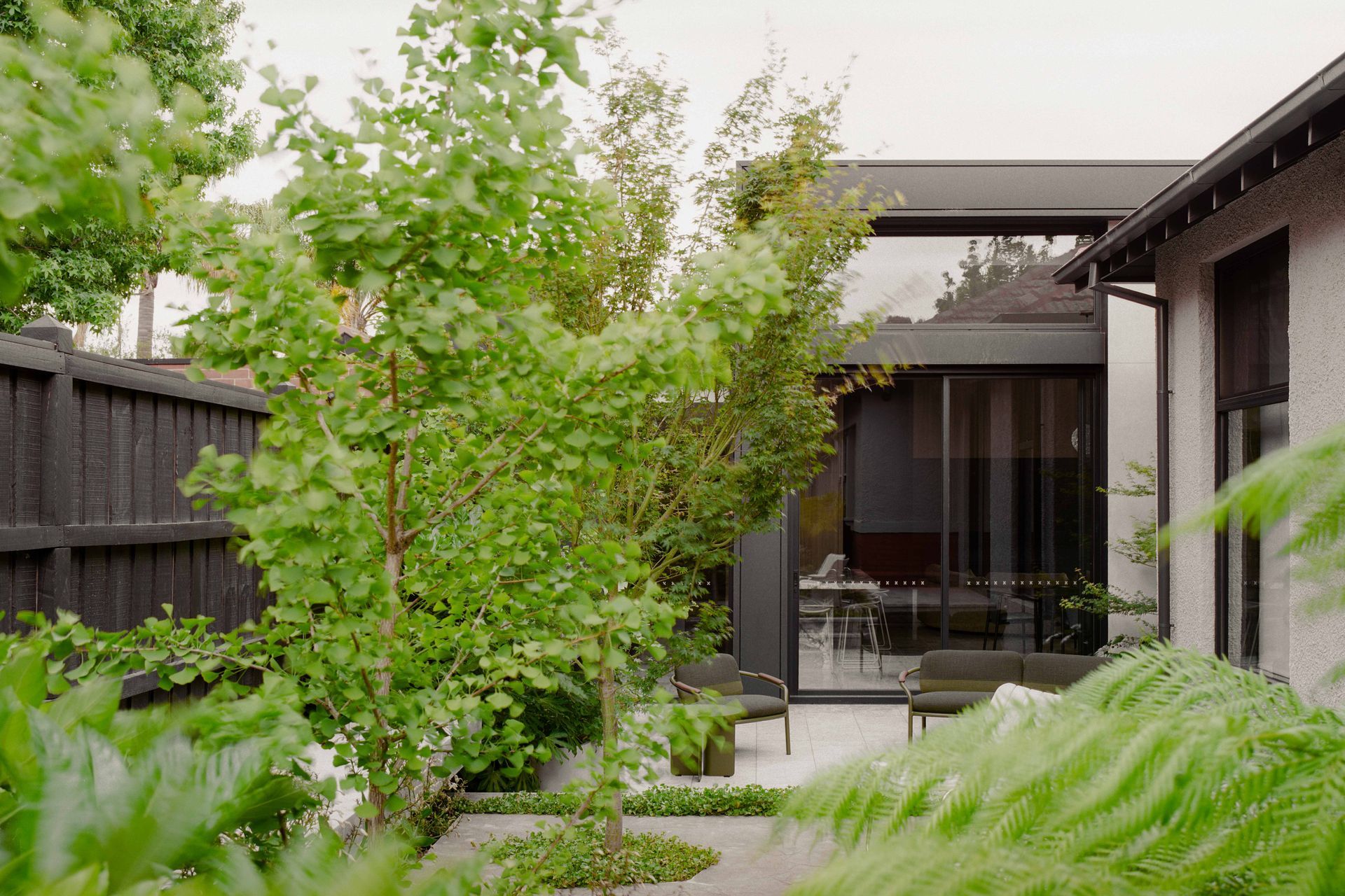 OV29C01.JPG