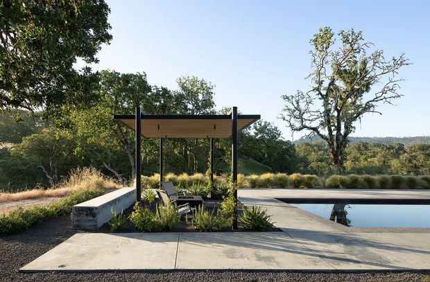 A landscaped outdoor pool terrace on a gently sloping, wooded site. The scene features a rectangular swimming pool, broad concrete paving, an open timber-and-dark-metal pergola with lounge seating, integrated concrete planter walls, ornamental grasses, and mature trees beyond. The design is restrained and contemporary, with warm natural planting contrasting against the pale hardscape and dark structural framing.