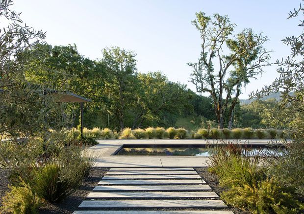 A landscaped outdoor pool area with a long rectangular reflecting or swimming pool, approached by broad stepping stones across a paved terrace. Native grasses, shrubs, olive-like trees, and mature woodland surround the space, with a simple dark-framed covered structure at the left. The design has a restrained, natural contemporary garden aesthetic and warm late-afternoon light.