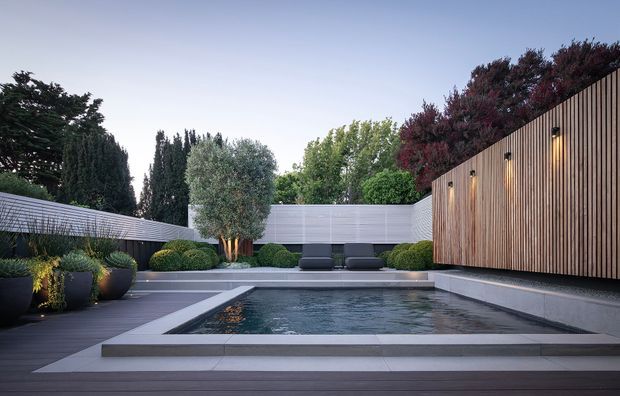 A refined modern courtyard pool area at dusk, featuring a rectangular reflecting or swimming pool with broad pale stone coping, dark timber decking, sculpted evergreen landscaping in large black planters, and a tall vertical timber-slat privacy wall with integrated warm lighting. A secondary pale horizontal privacy fence and mature trees enclose the secluded outdoor space.