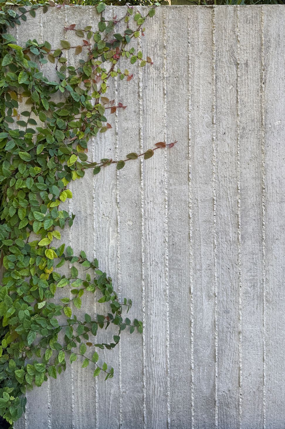OneAbode-Timeless-Modern-San-Francisco-Bay-Area-Landscape-and-Garden-Design-07-ap-compressed.jpg