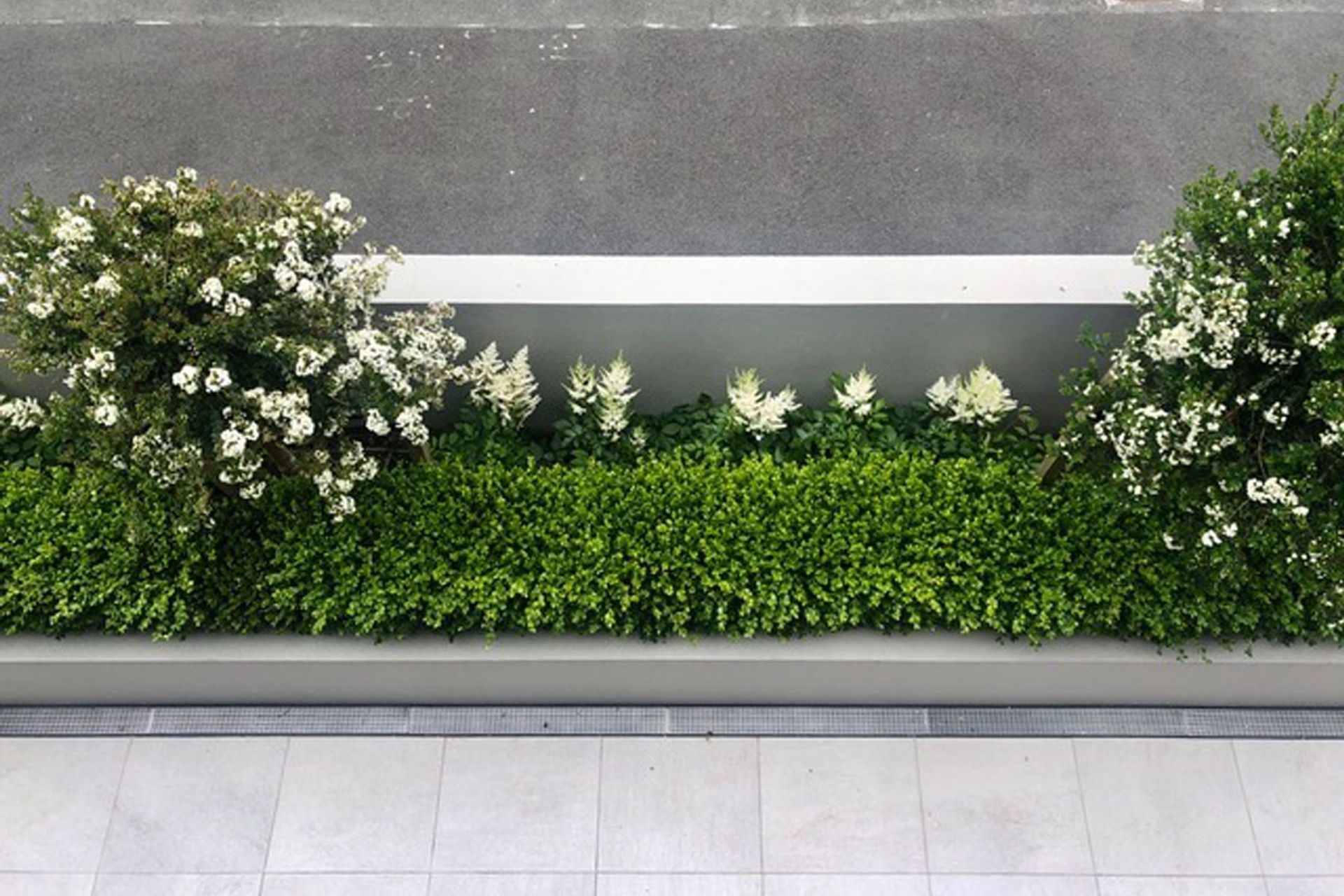 PLANTING-VIEW-FROM-UPPER-LEVEL-FRON-GARDENS-Medium1.jpg