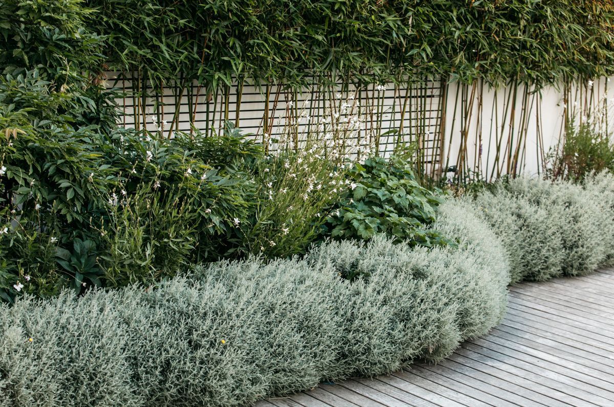 Pool Garden