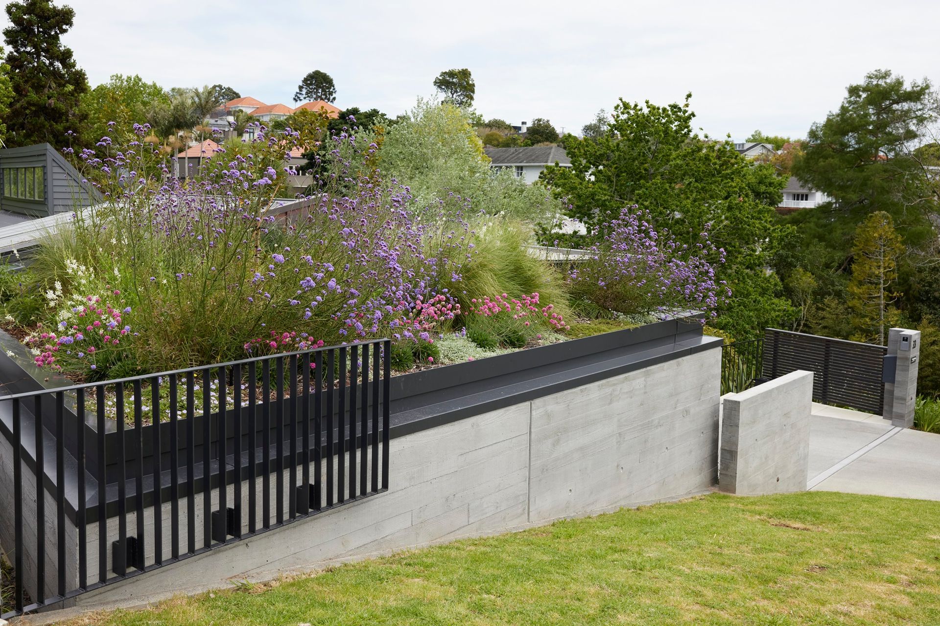 Remuera Rooftop Garden