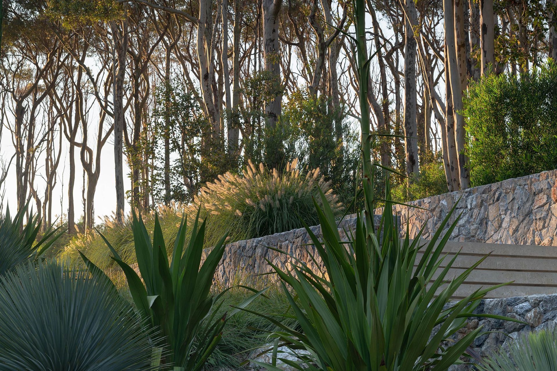 SG-BRACKEN-03-20250682.jpg