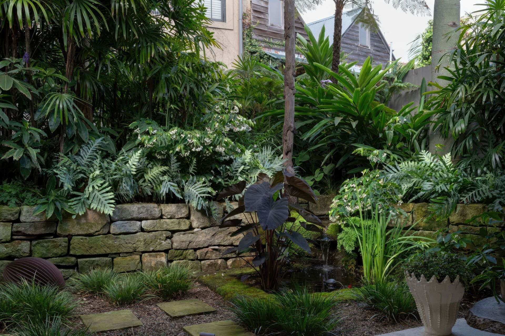 ScaledGarden-LifeDesignProjectSubtropical106-scaled-standard-scale-200x.jpg
