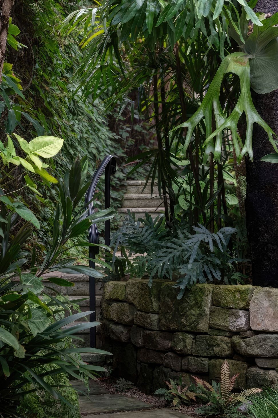 ScaledGarden-LifeDesignProjectSubtropical340-818x1020-standard-scale-200x.jpg