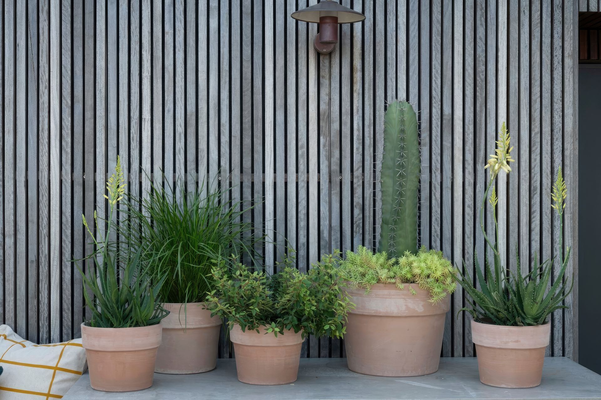 ScaledGarden-LifeDesignRooftop-Retreat5-1695x1020-standard-scale-200x.jpeg