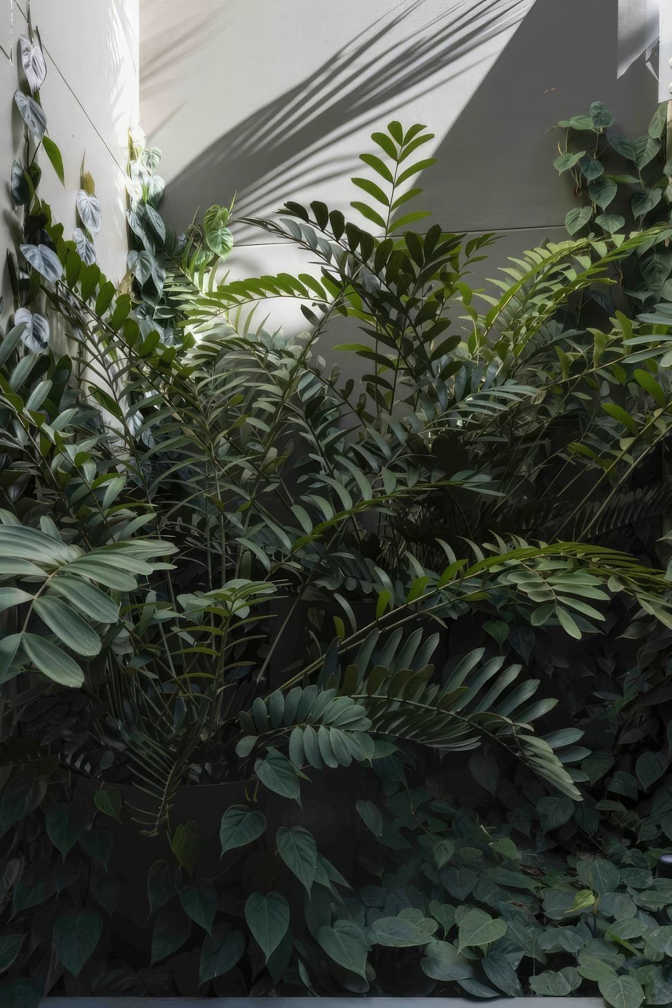 ScaledUrban-Jungle8-scaled-818x1020-standard-scale-200x.jpeg