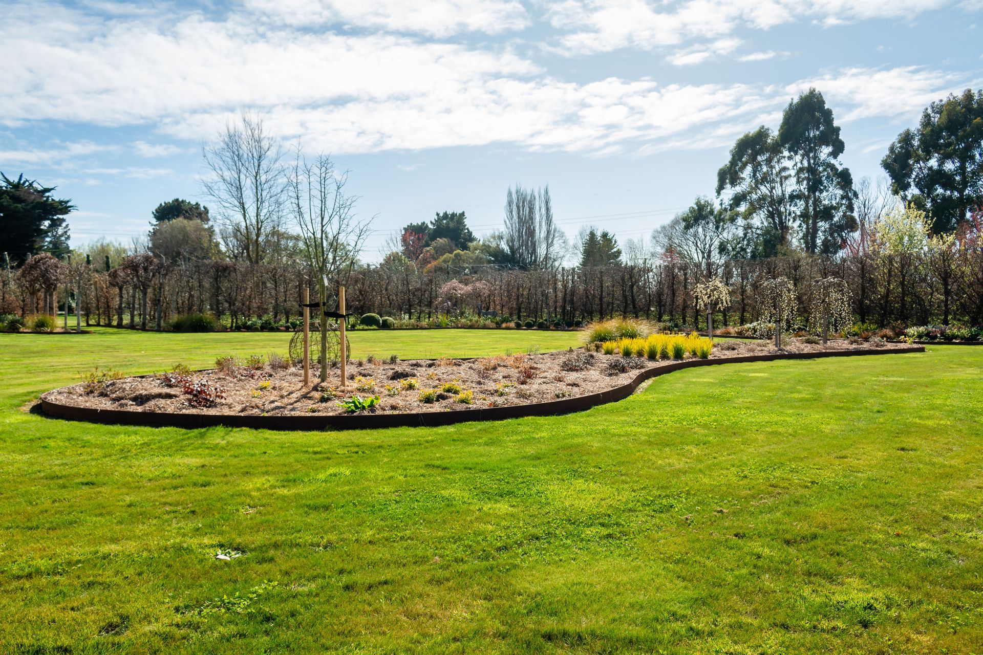 StraightCurve-17.jpg