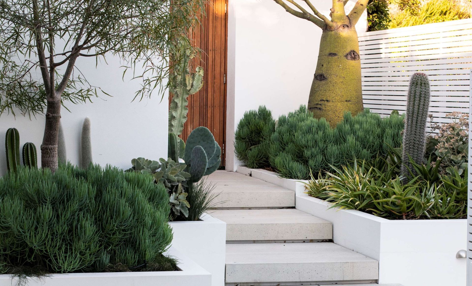 The Succulent Garden