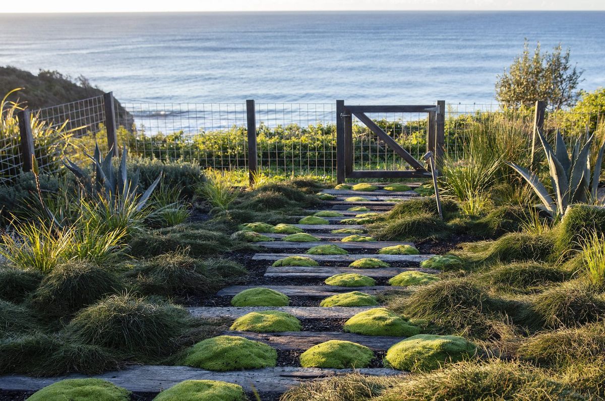 Turimetta Beach