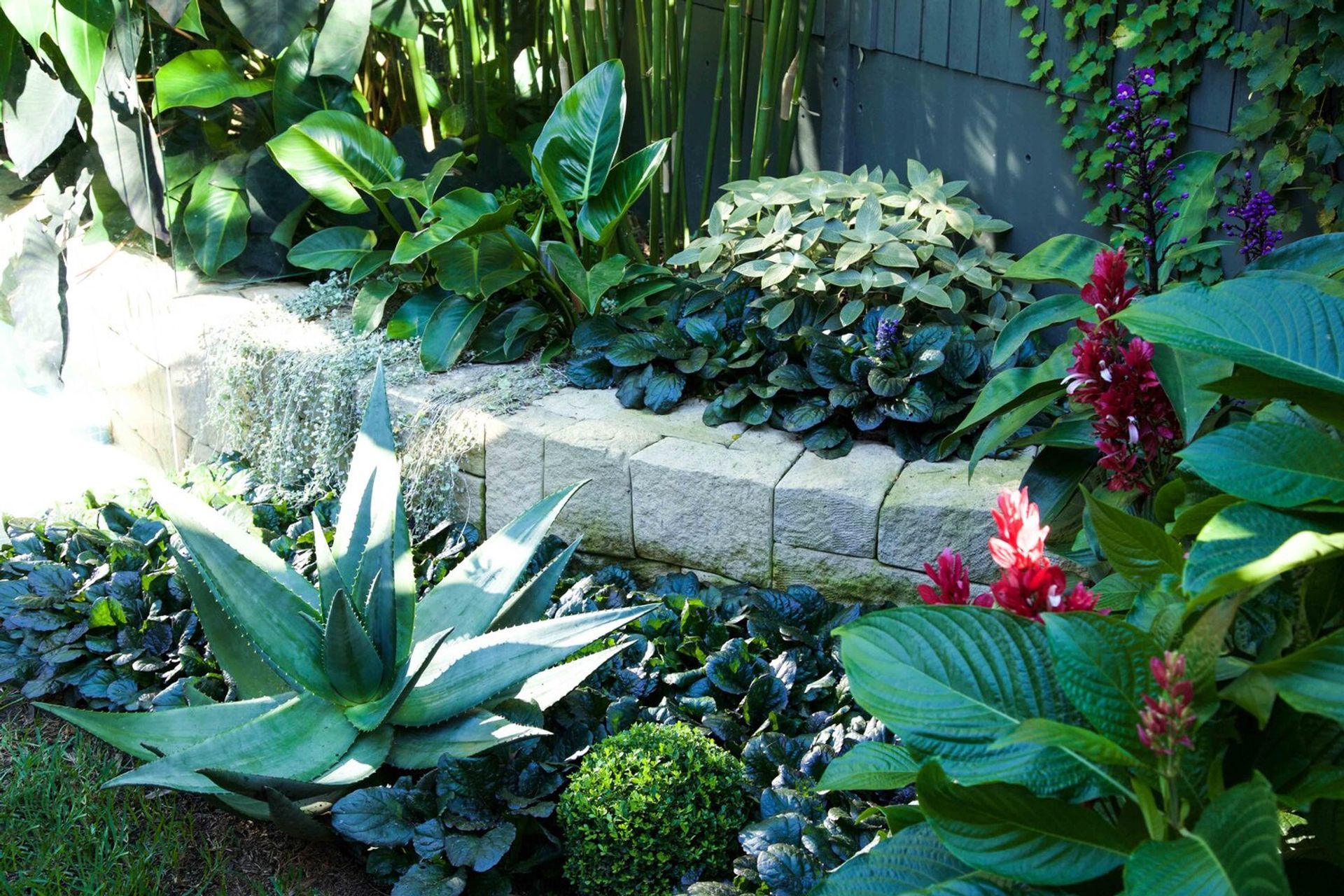 Plunge Garden