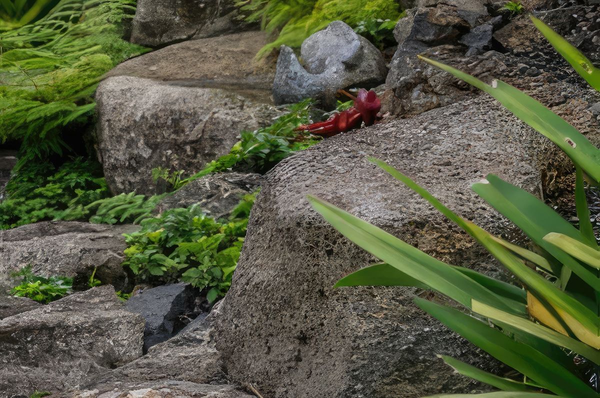 Hawaiian Landscape