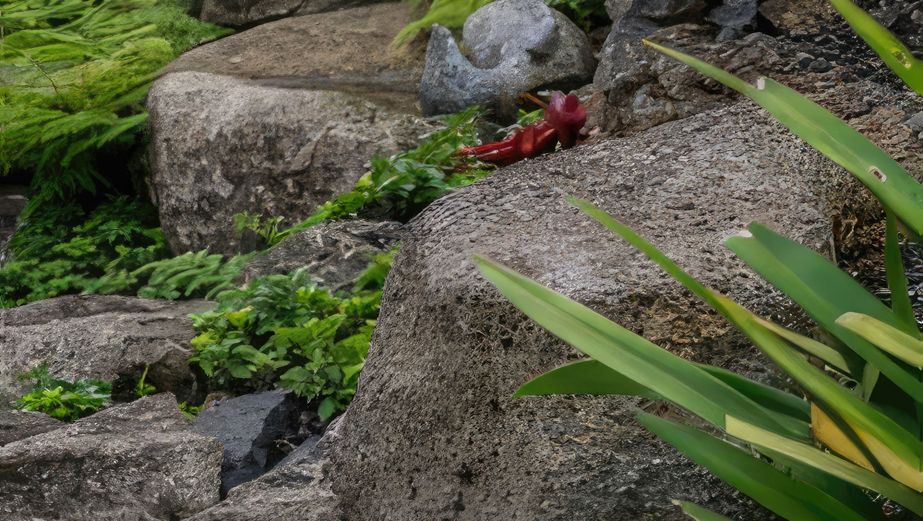 Hawaiian Landscape