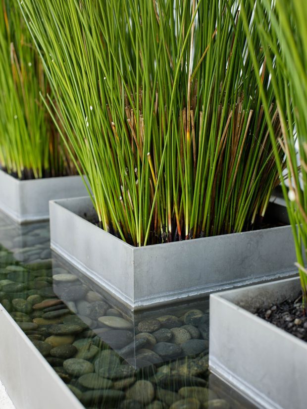 Close-up architectural landscape detail showing tall green ornamental grasses planted in rectangular grey concrete or cement planters arranged within a shallow reflecting-water feature filled with smooth river stones. The image focuses on the integrated planter and water design, with no visible building interior or broader site context.