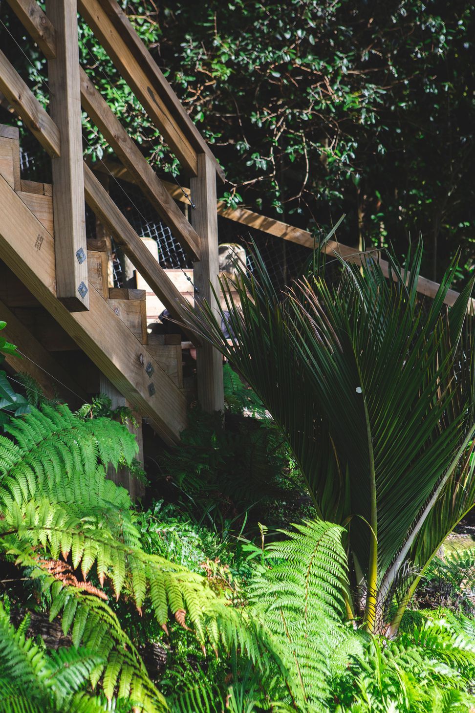 Stanley Point