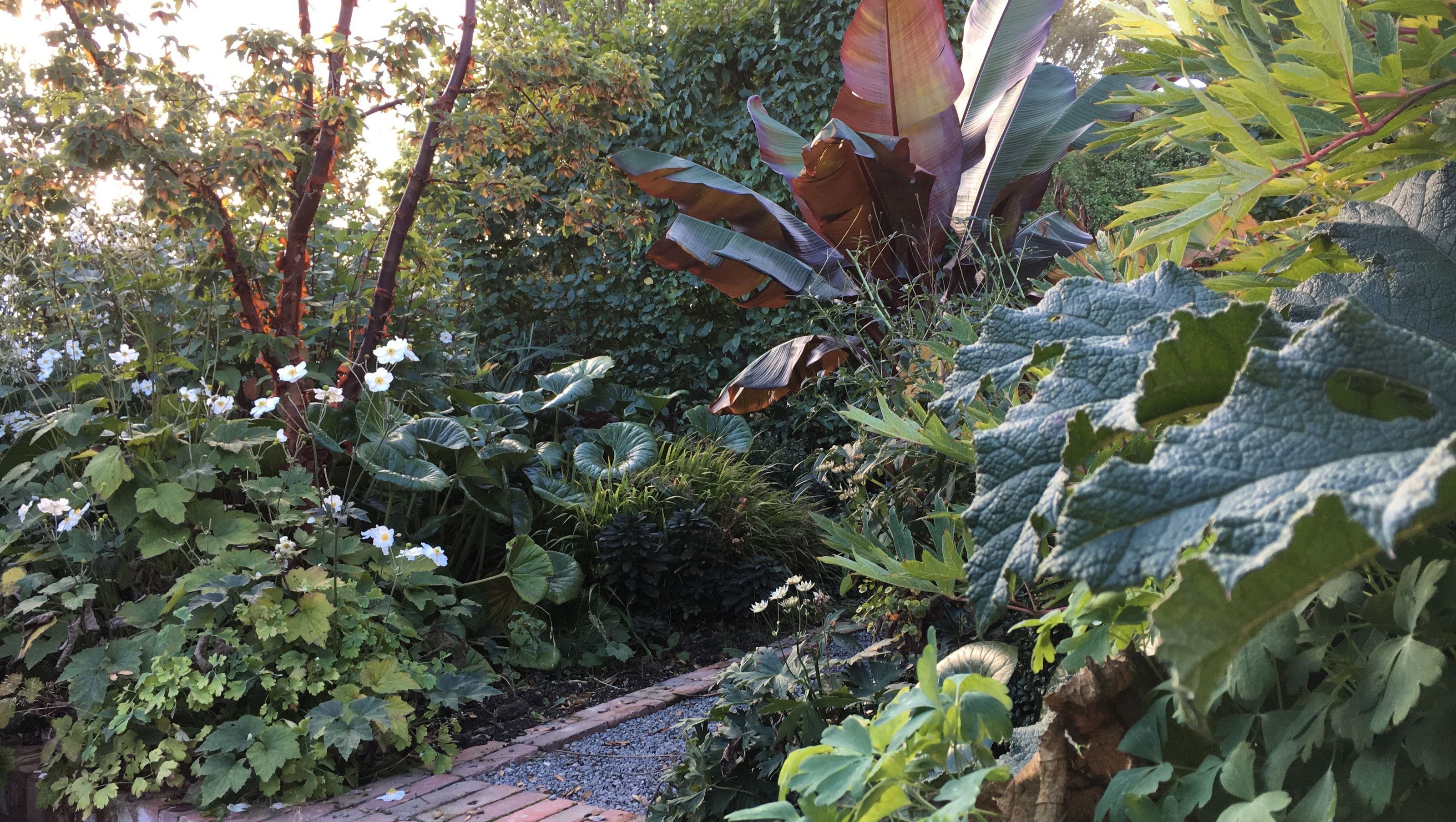 Shirley Garden